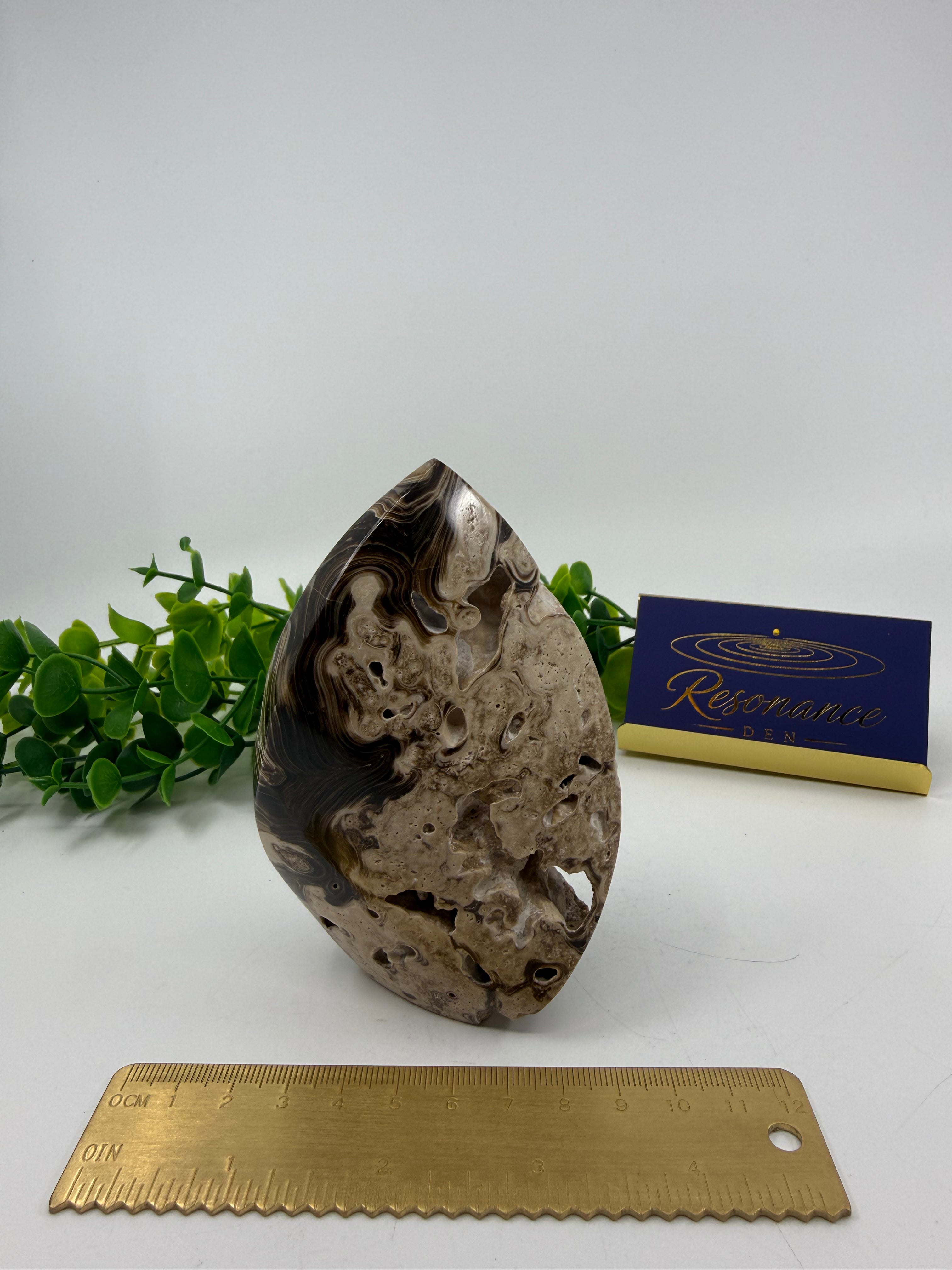 Chocolate Calcite Freeform Flame (Opt C)