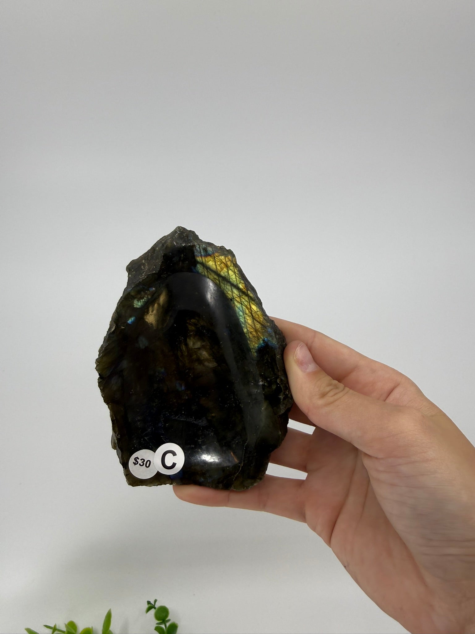 Labradorite Trinket Bowl (Opt C)
