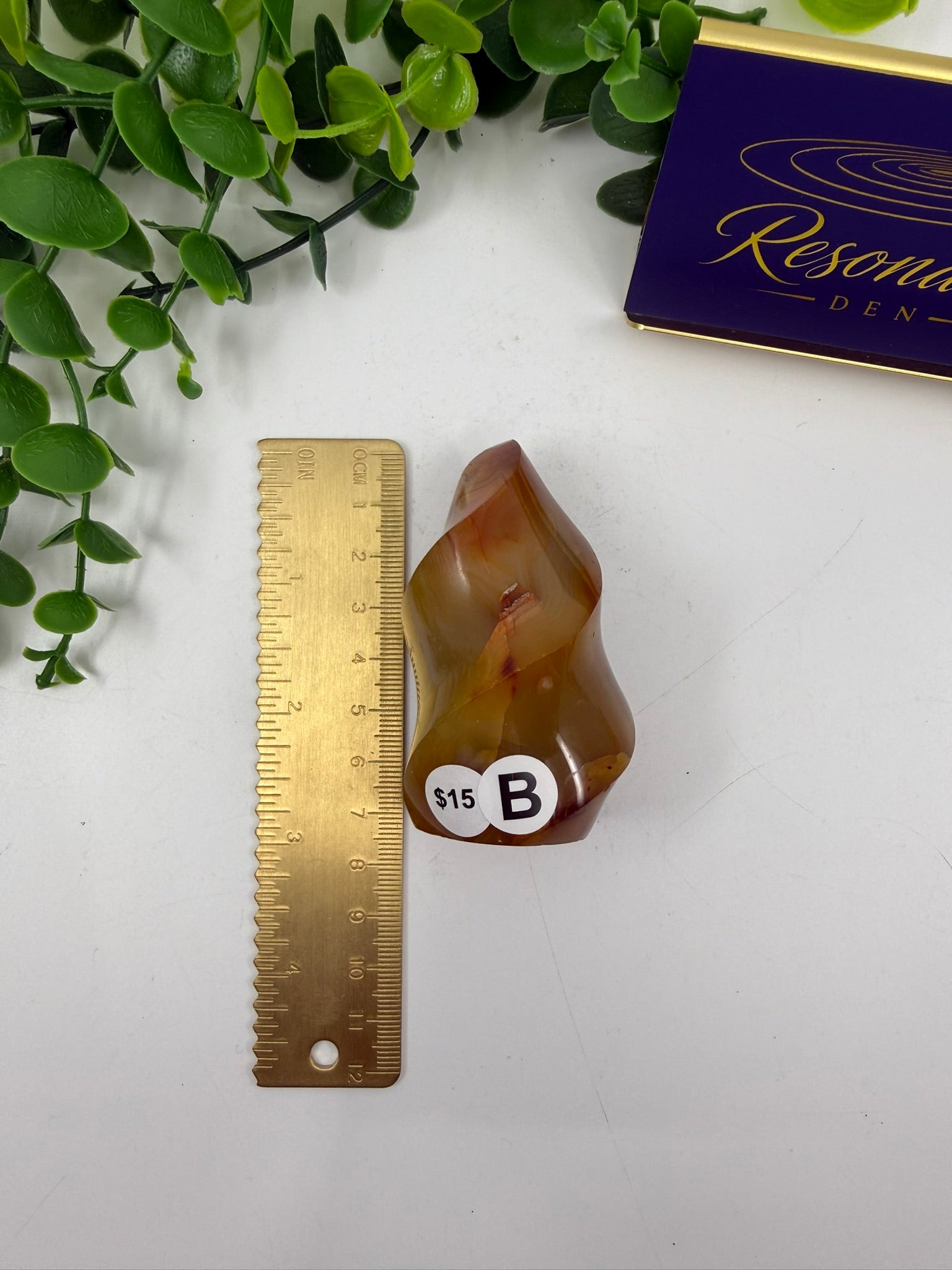 Carnelian Carved Freeform (Opt B)