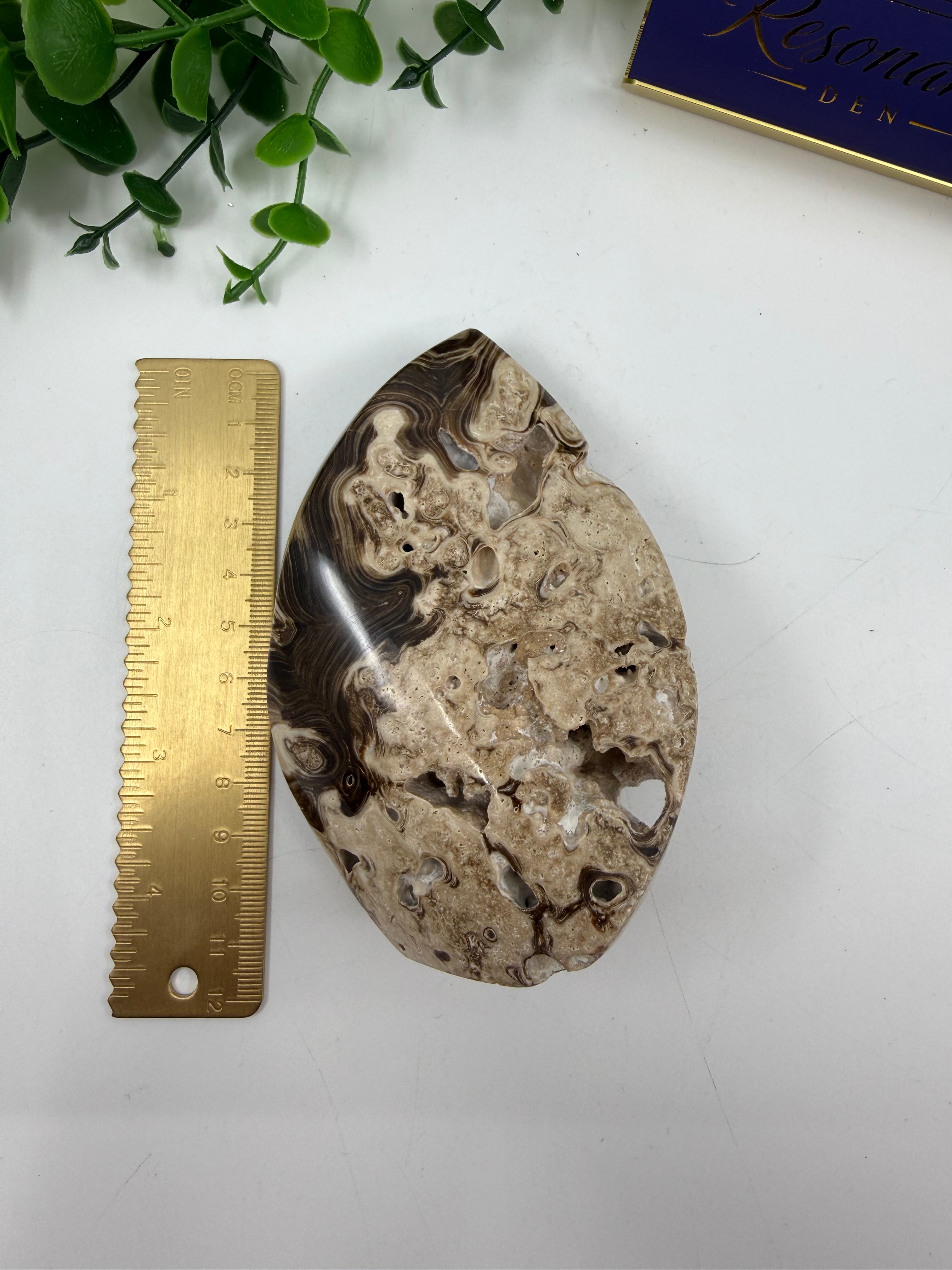 Chocolate Calcite Freeform Flame (Opt C)