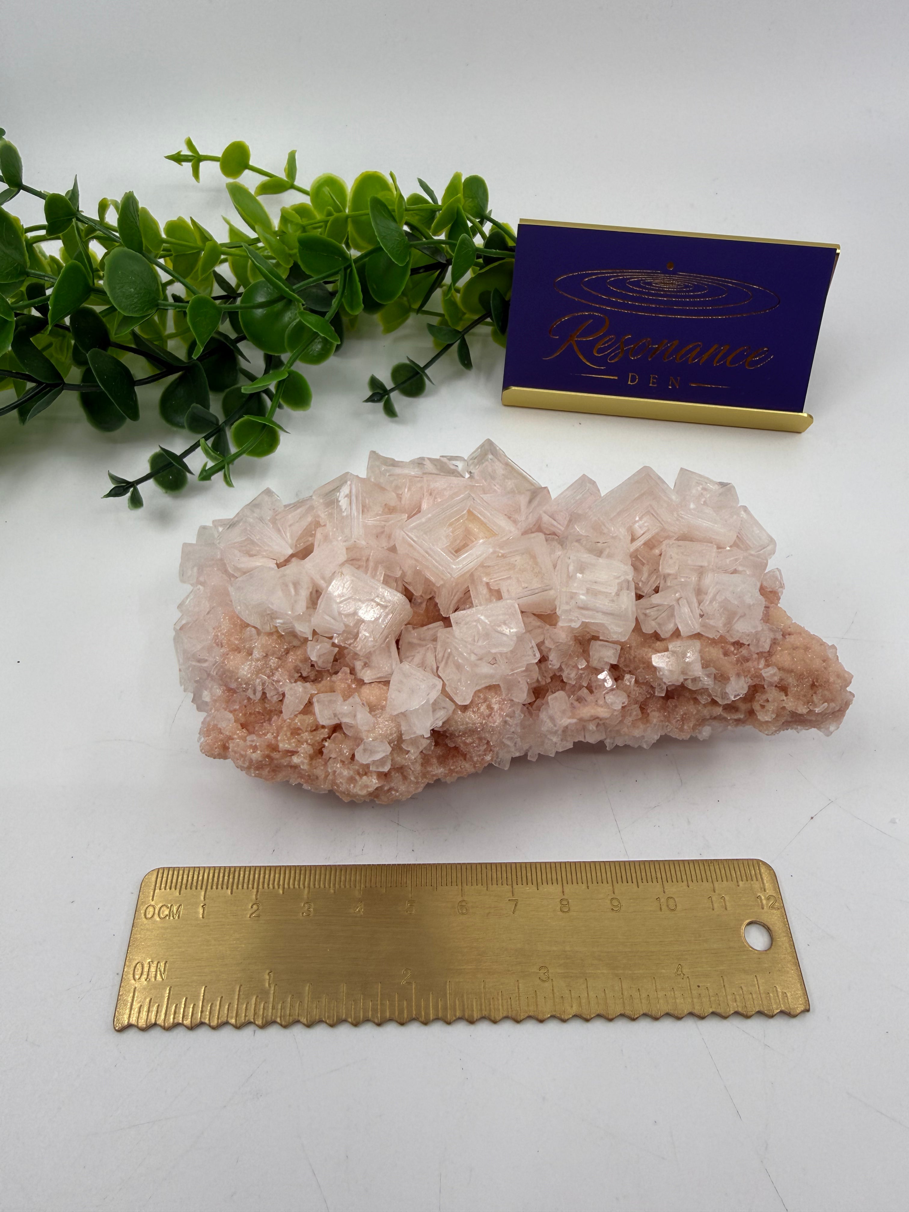 Raw Pink Halite (Opt C)