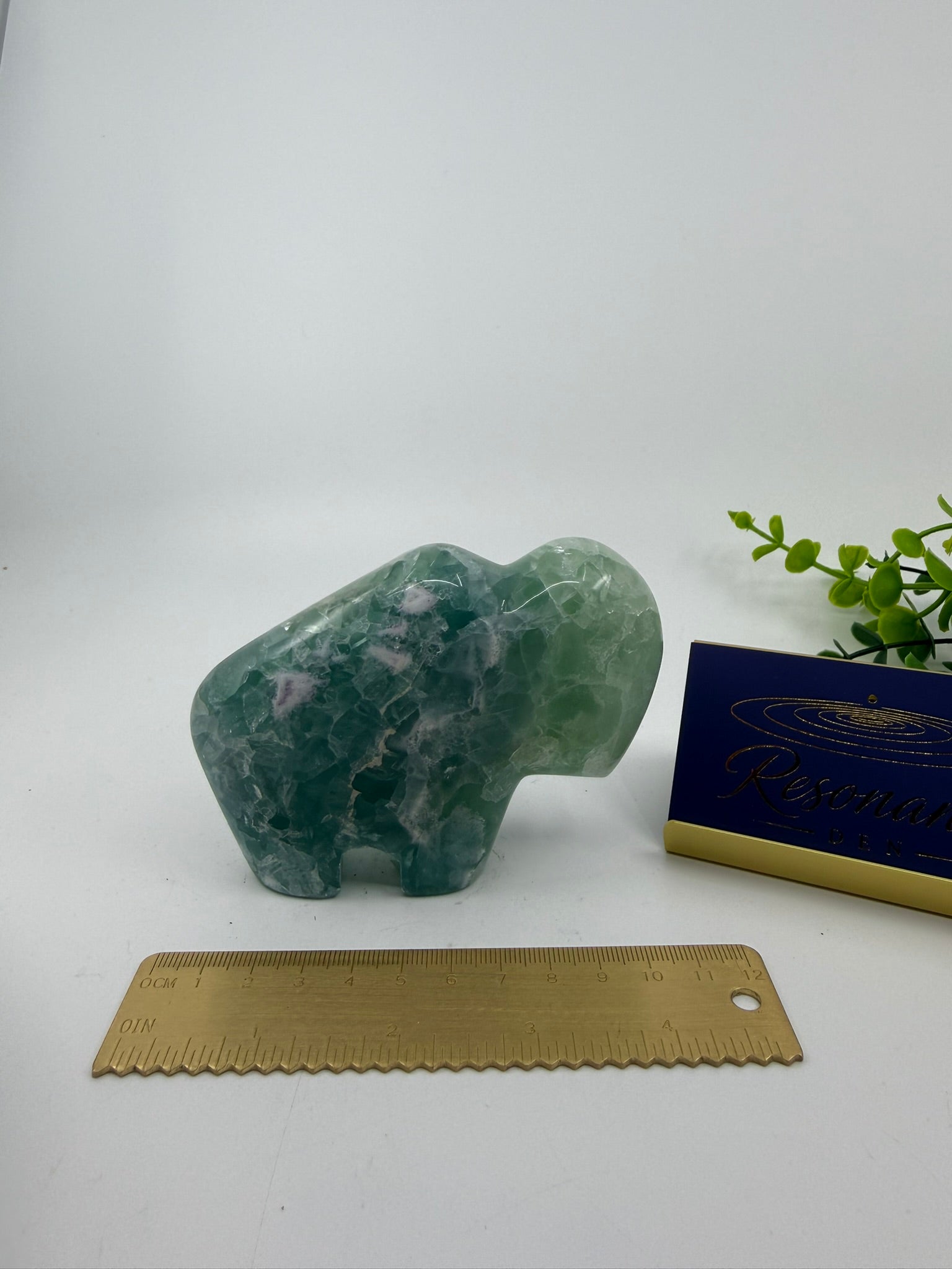 Fluorite Buffalo