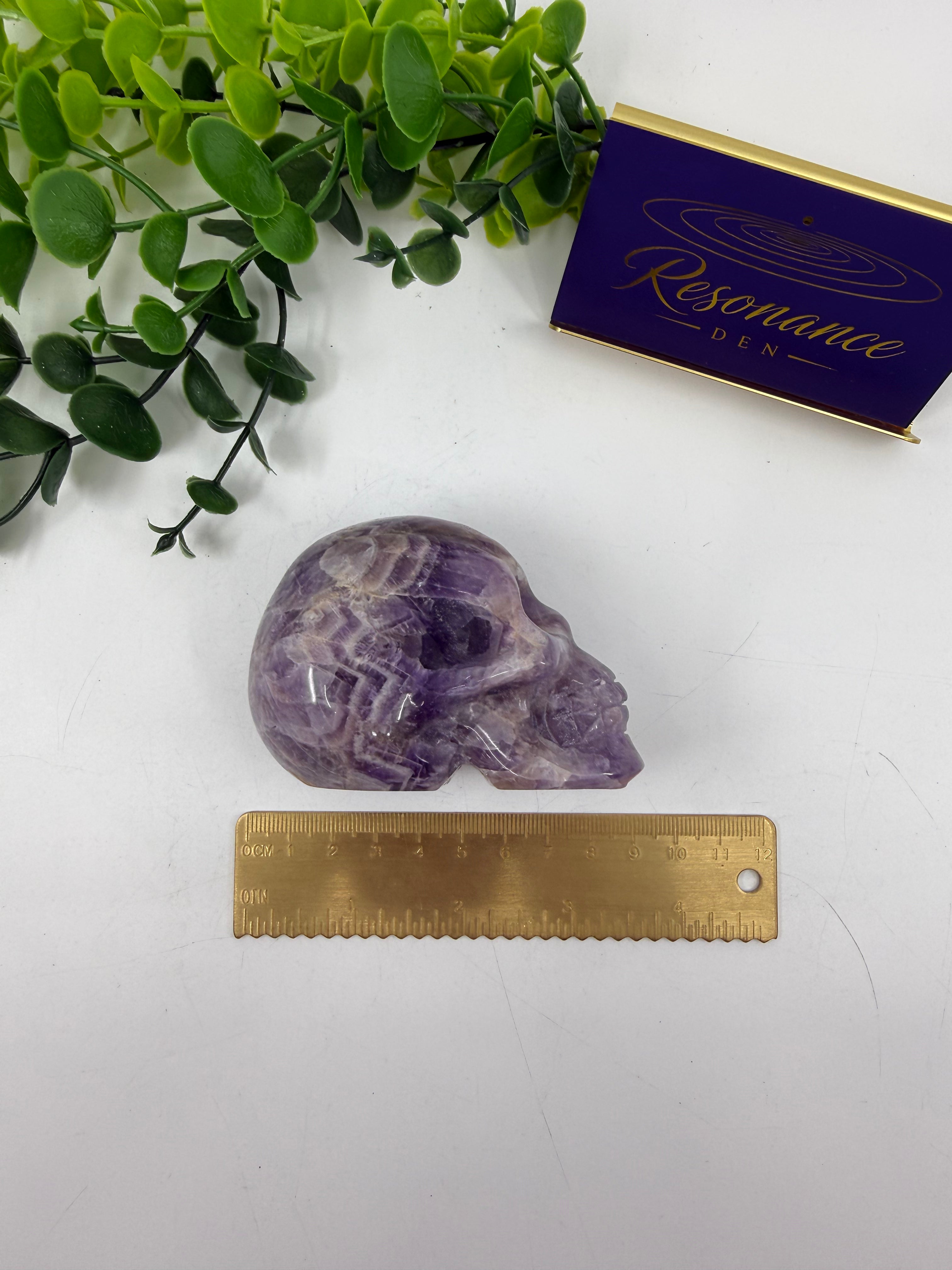 Chevron Amethyst Skull Carving (Opt A)