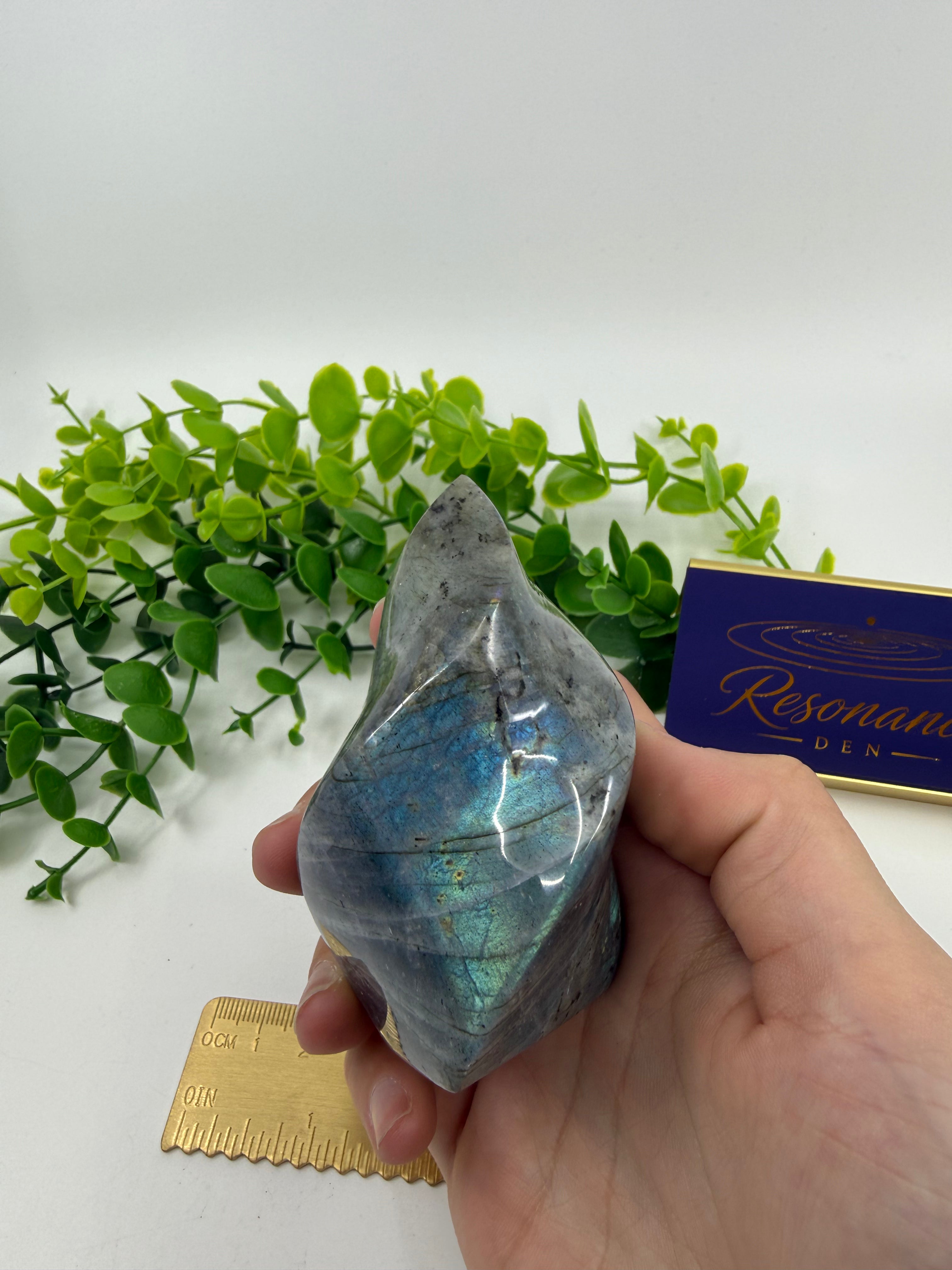 Labradorite Carved Freeform (Opt C)