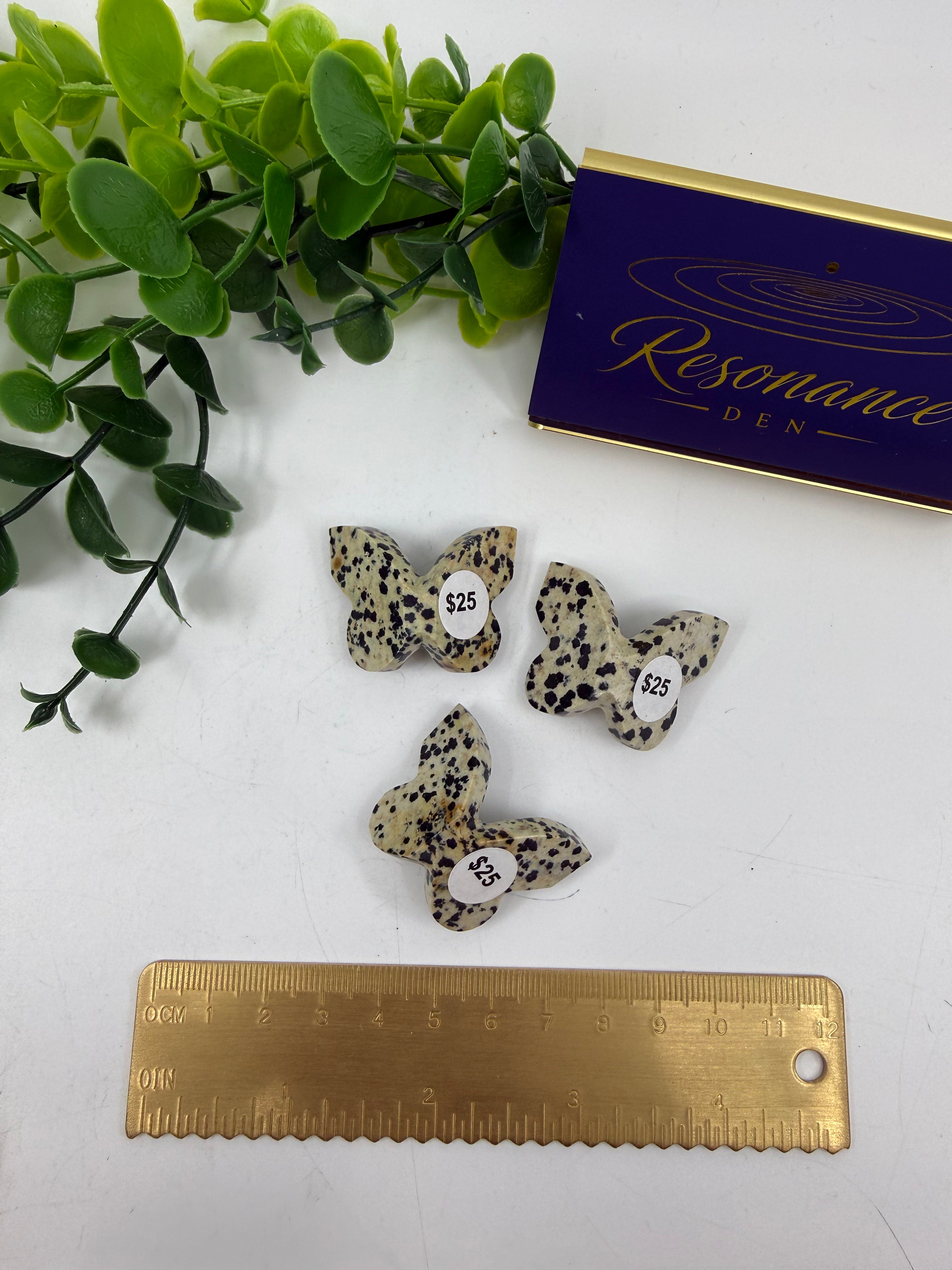 Dalmatian Jasper Mini Butterfly | Intuitively Chosen