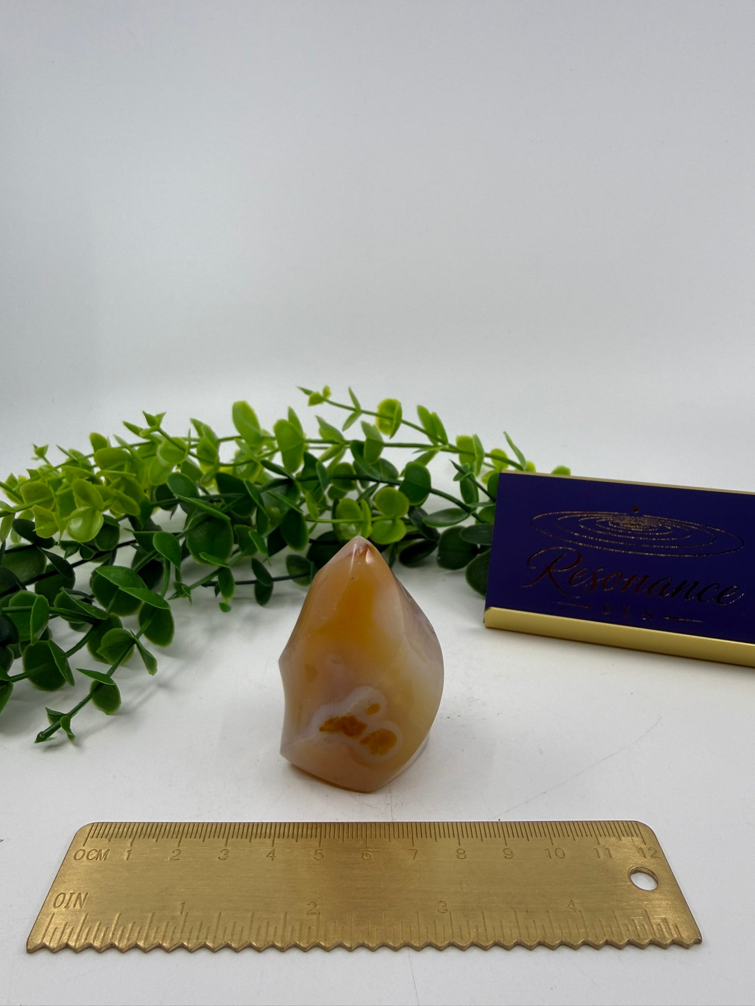 Carnelian Carved Freeform (Opt C)