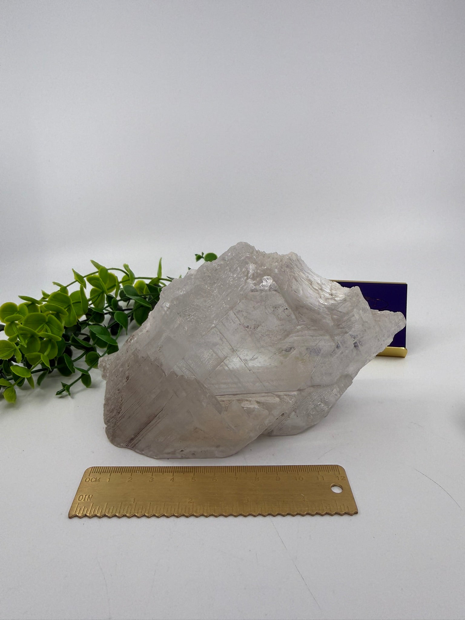 Raw Selenite Freeform