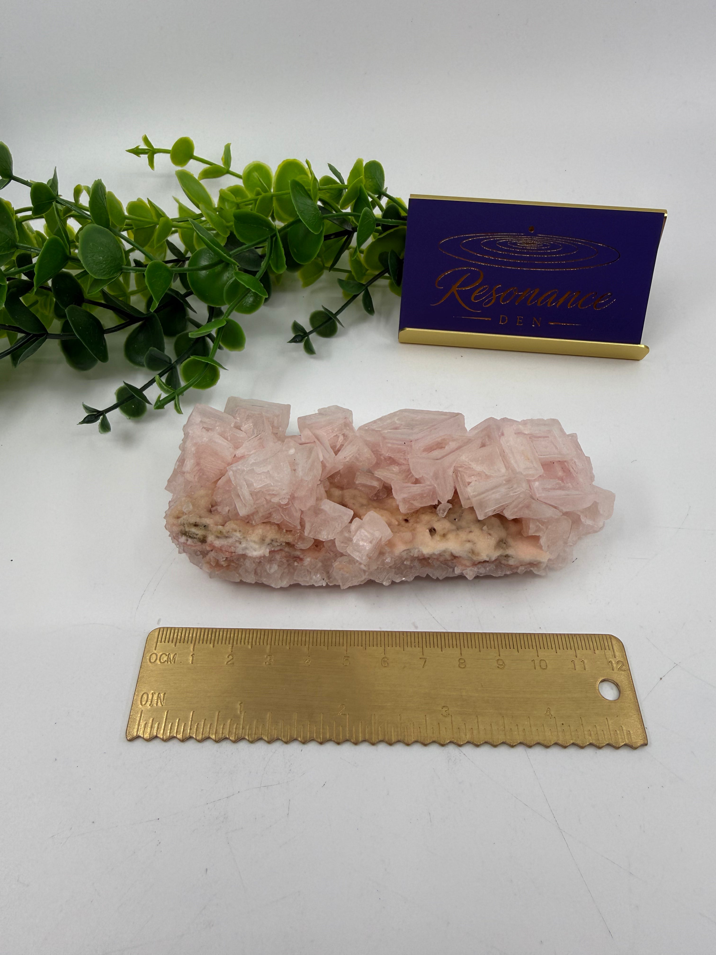 Raw Pink Halite (Opt B)