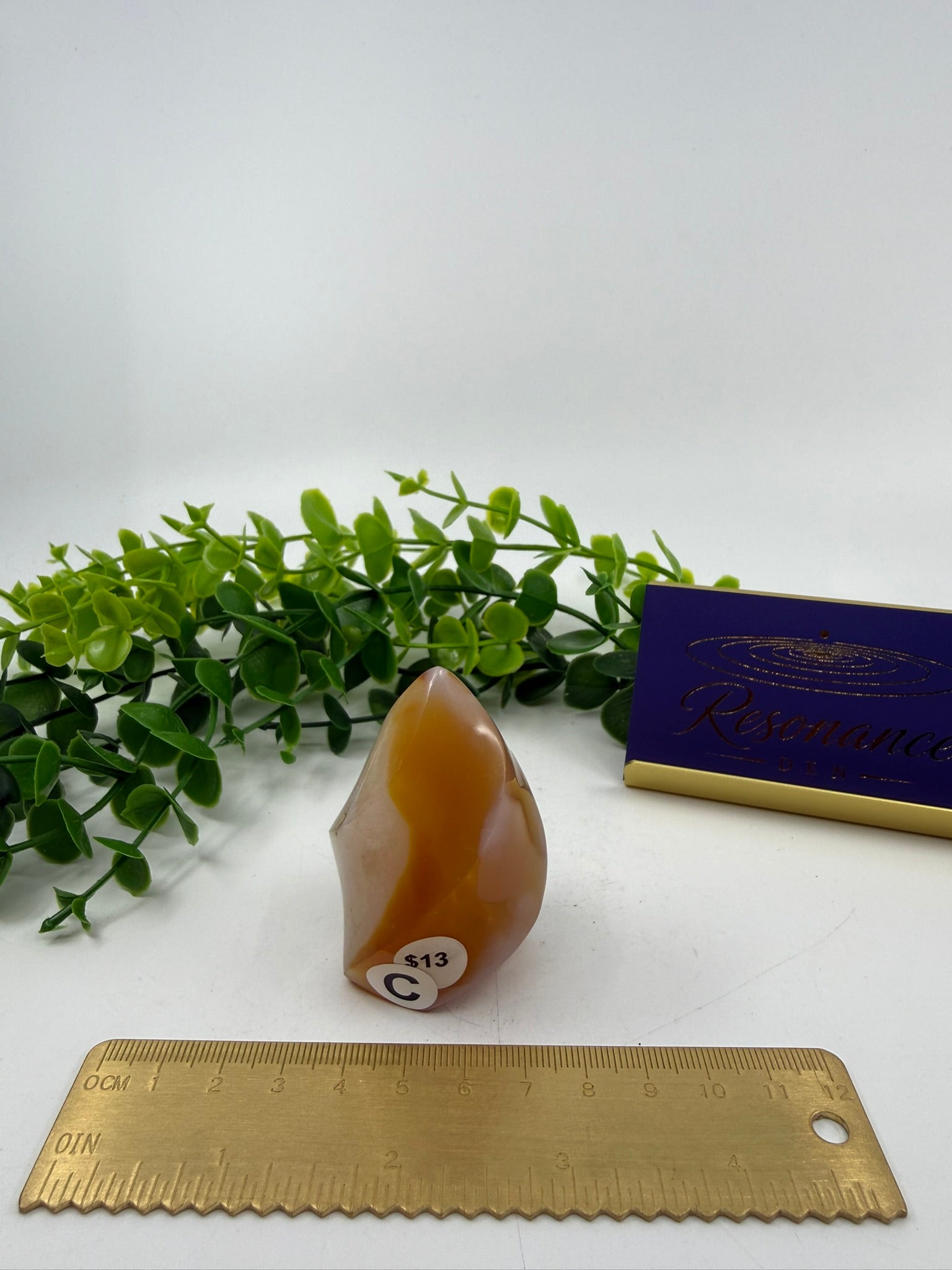 Carnelian Carved Freeform (Opt C)