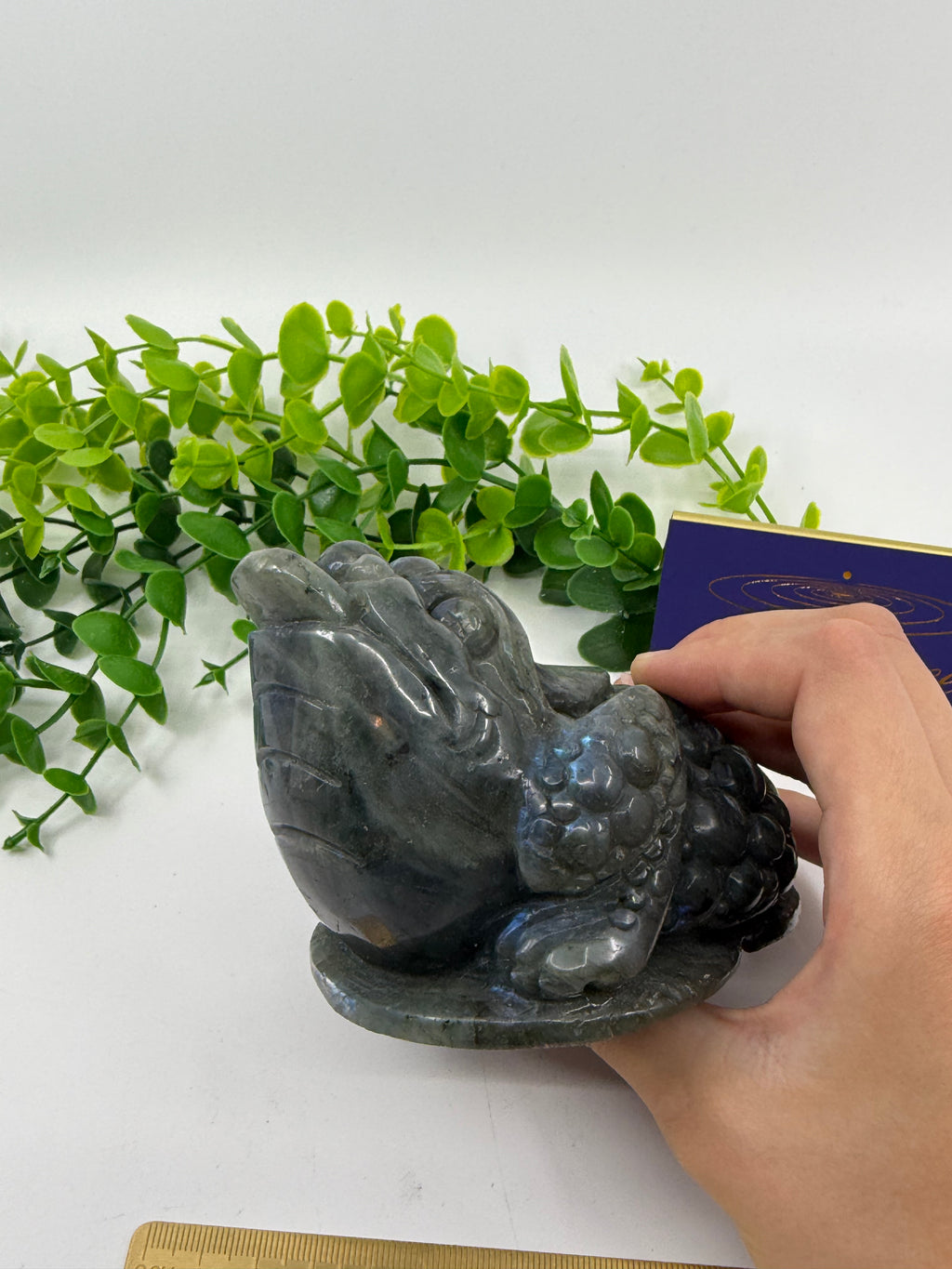 Labradorite Money Toad