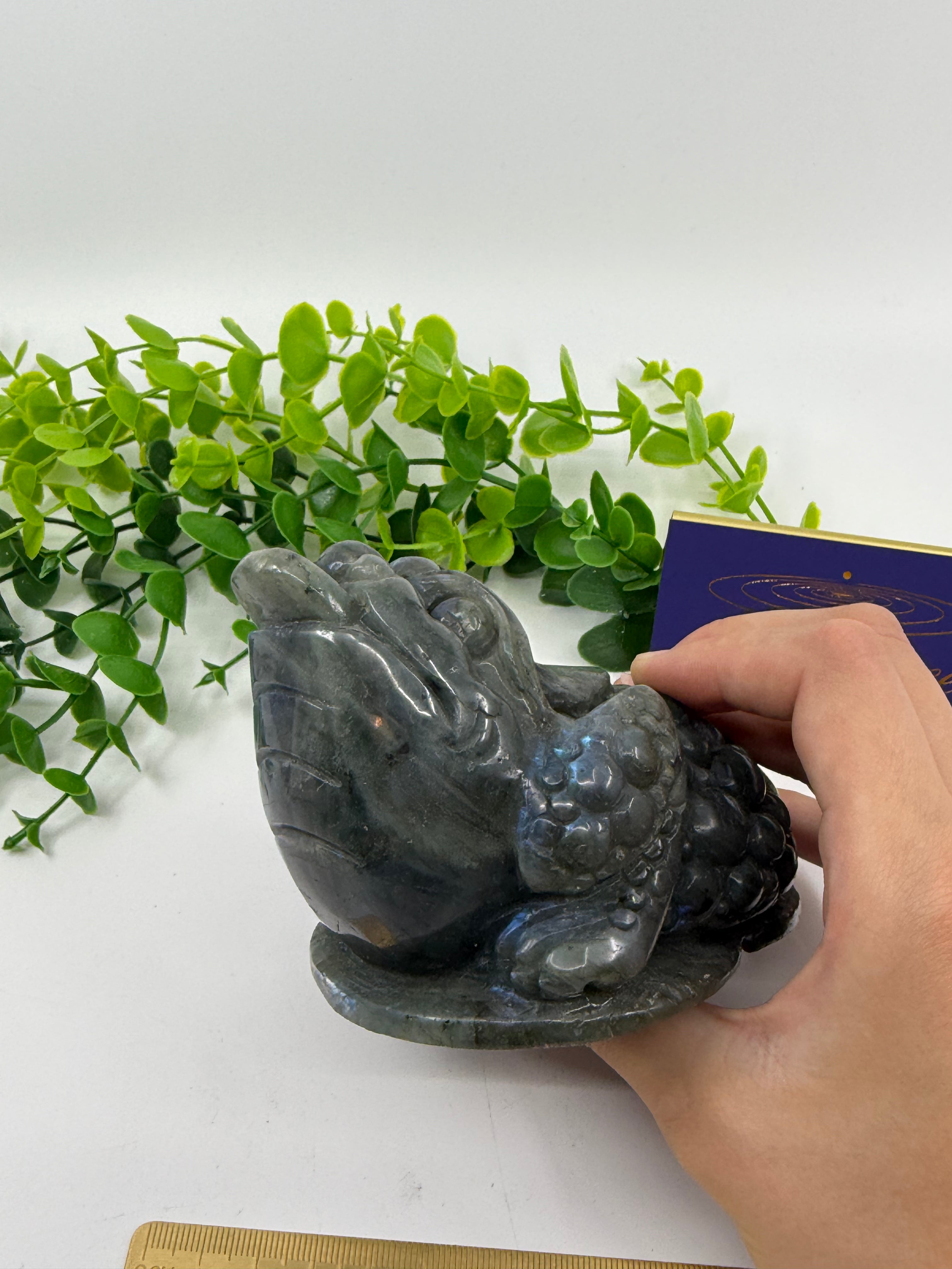 Labradorite Money Toad