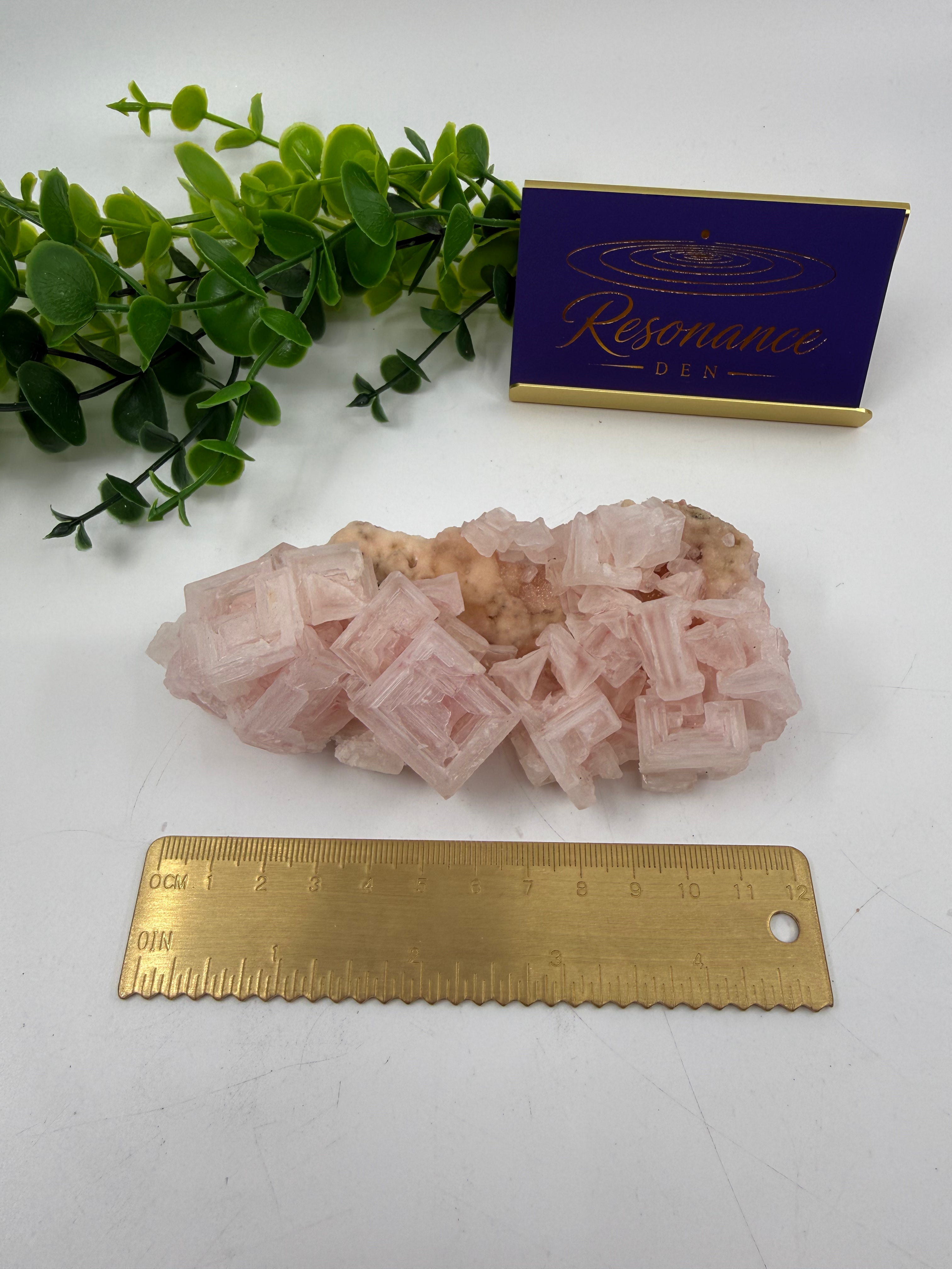 Raw Pink Halite (Opt B)