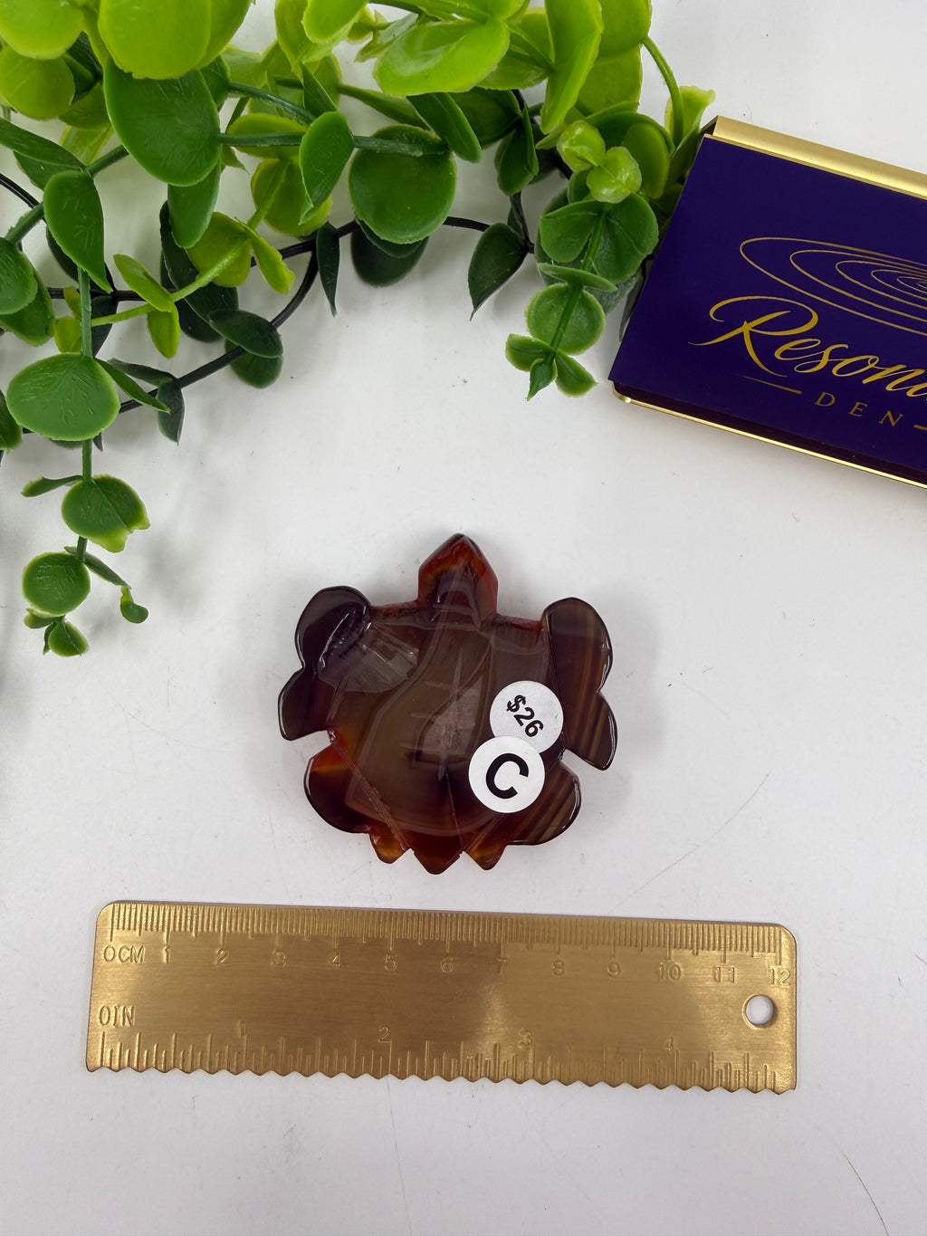 Carnelian Turtle (Opt C)