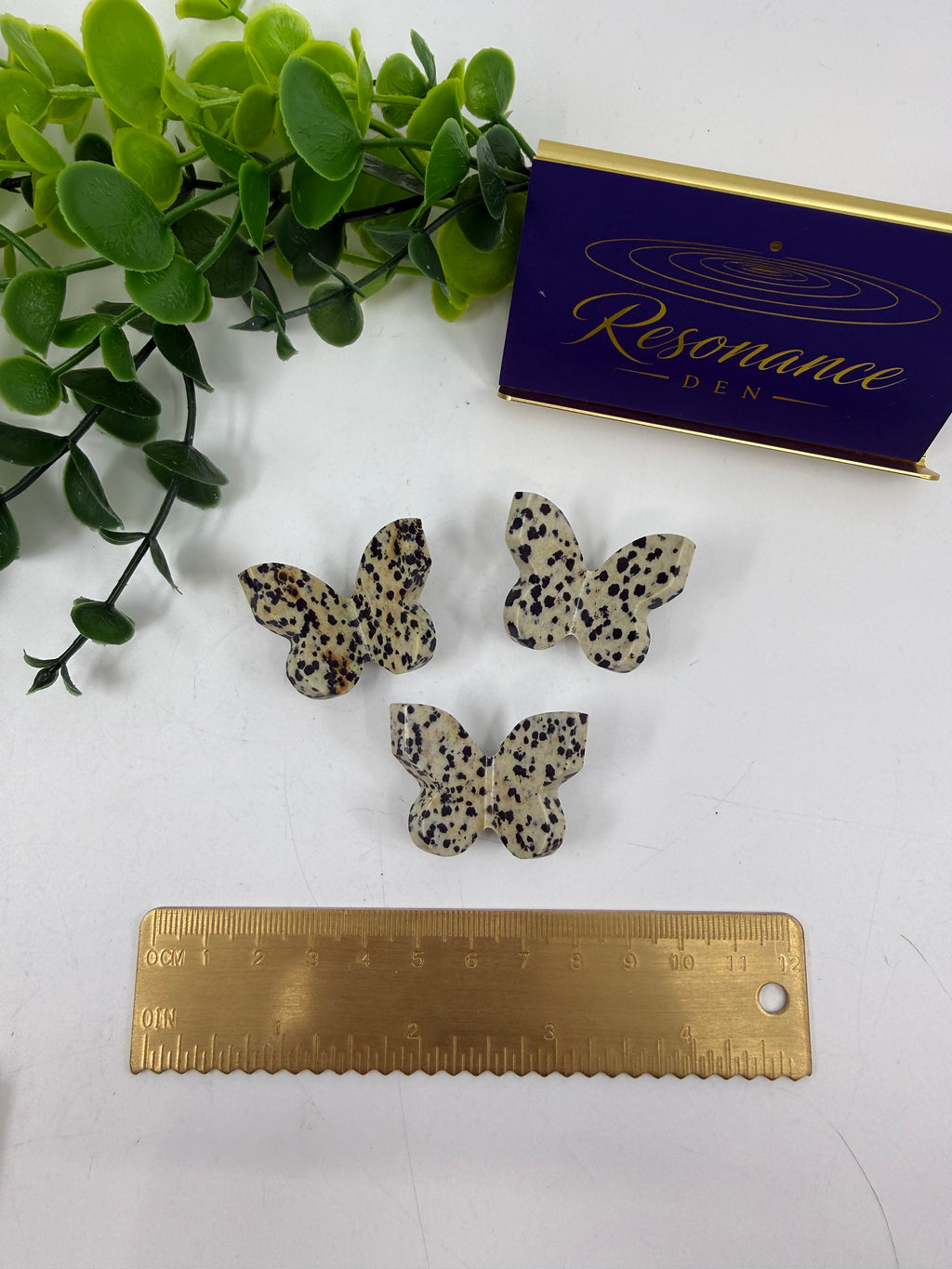 Dalmatian Jasper Mini Butterfly | Intuitively Chosen