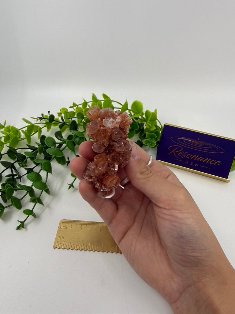 Sputnik Aragonite (Opt A)