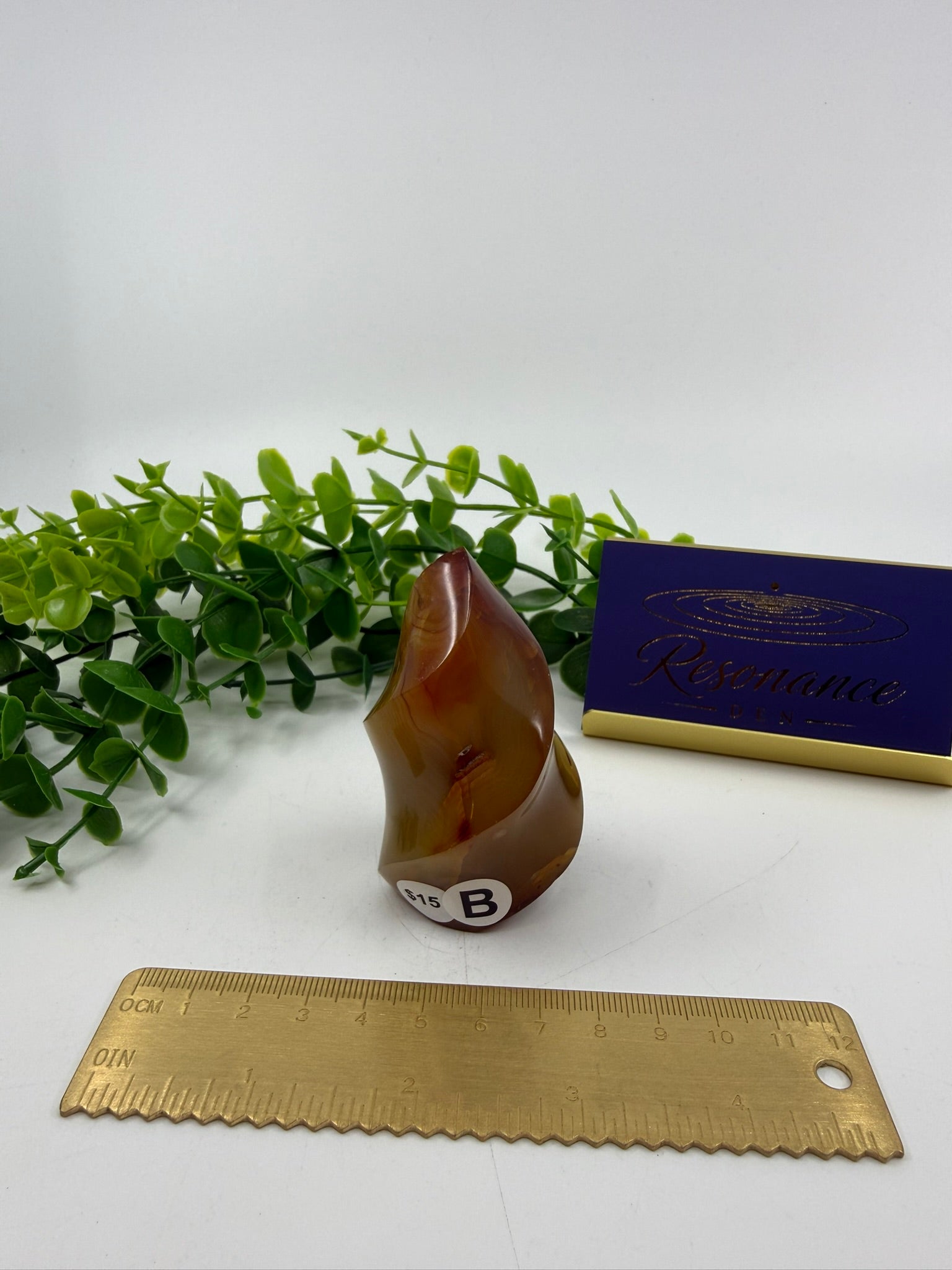Carnelian Carved Freeform (Opt B)