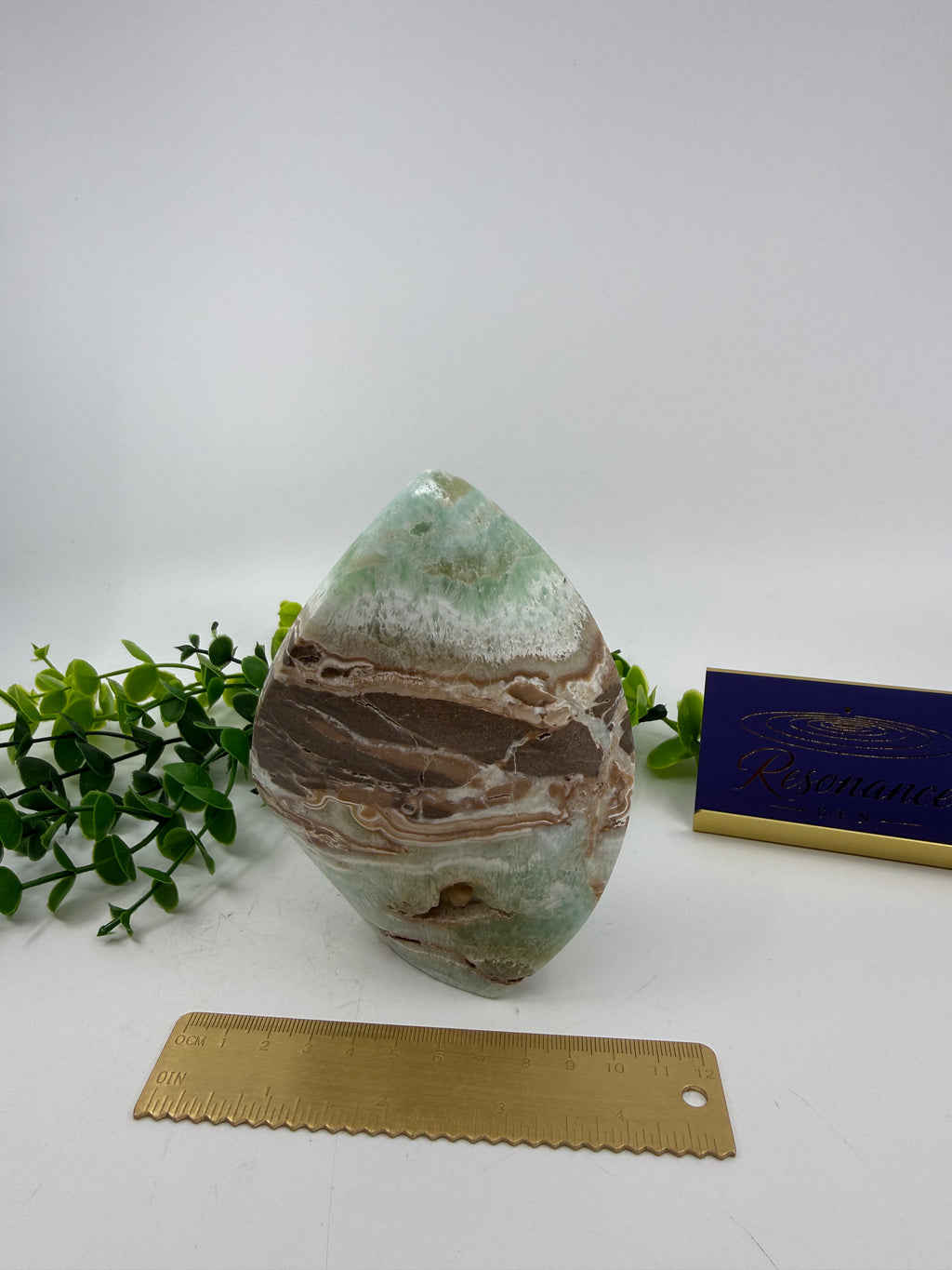 Caribbean Calcite Large Flame (Opt C)