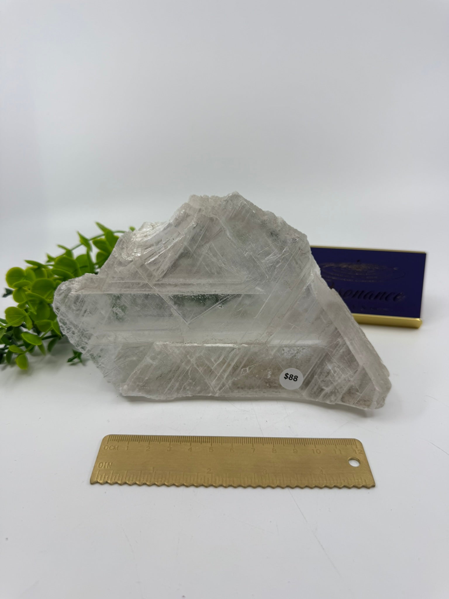 Raw Selenite Freeform