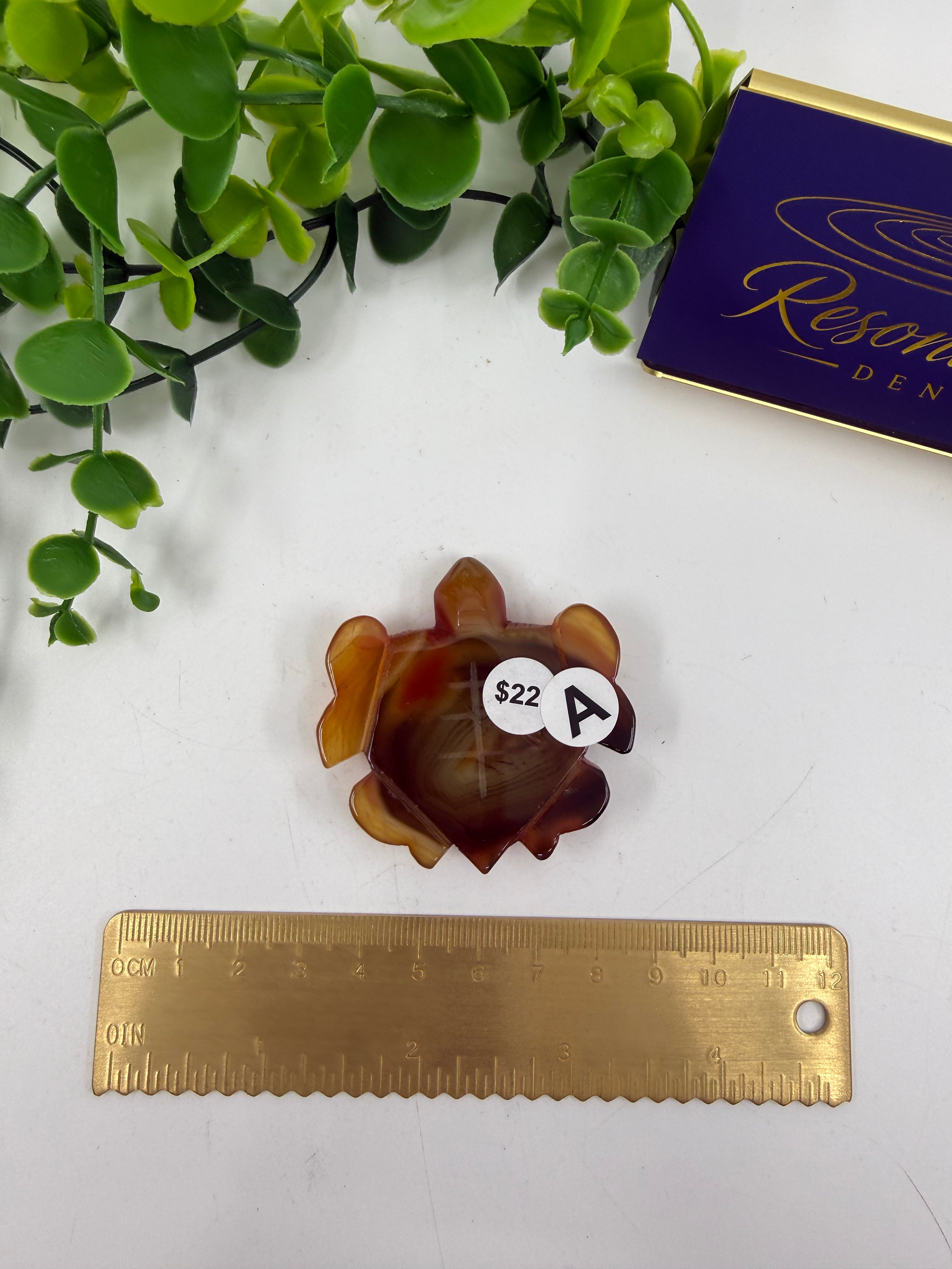 Carnelian Turtle (Opt A)