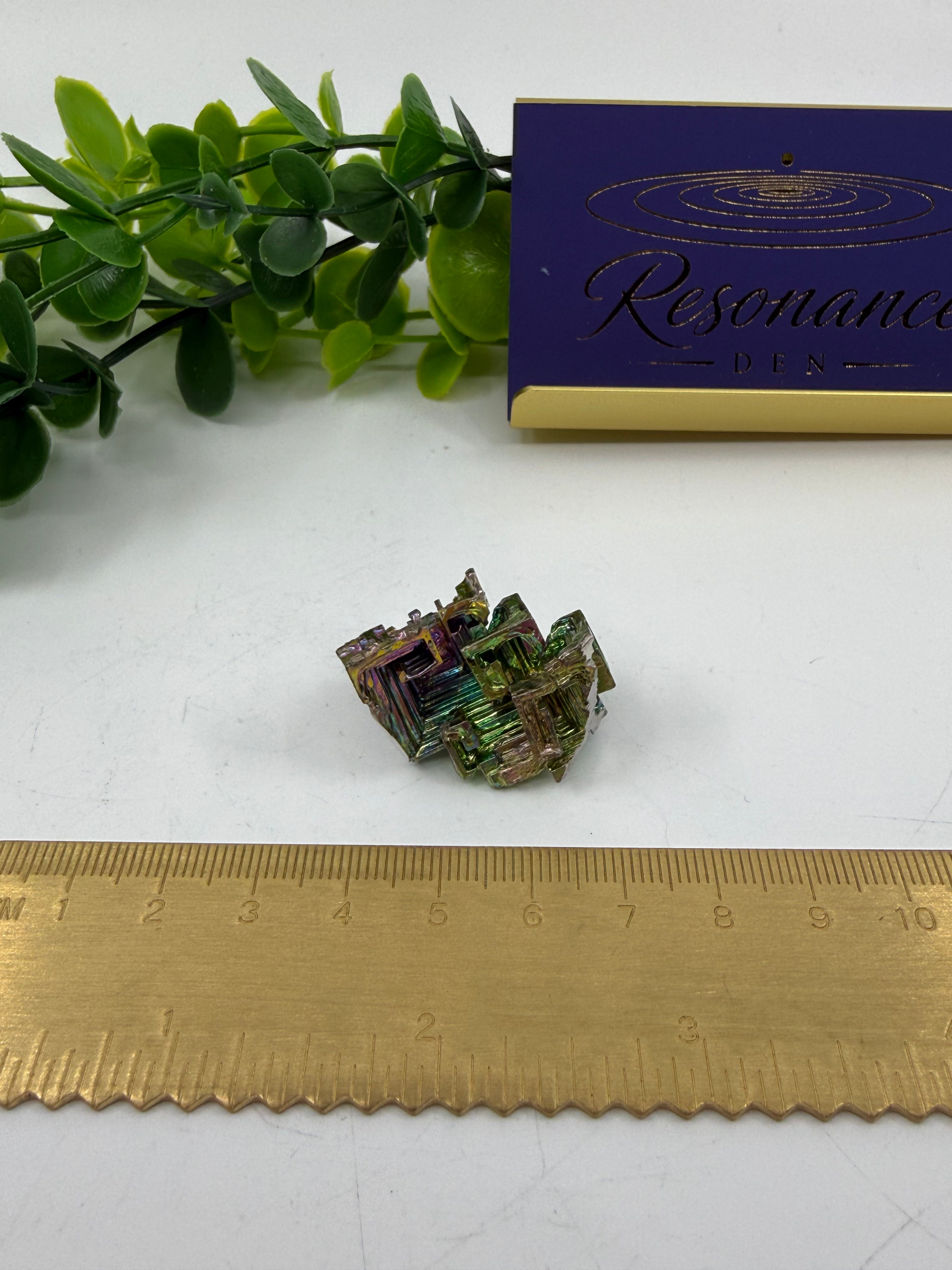 Bismuth Mini Cluster (Opt D)