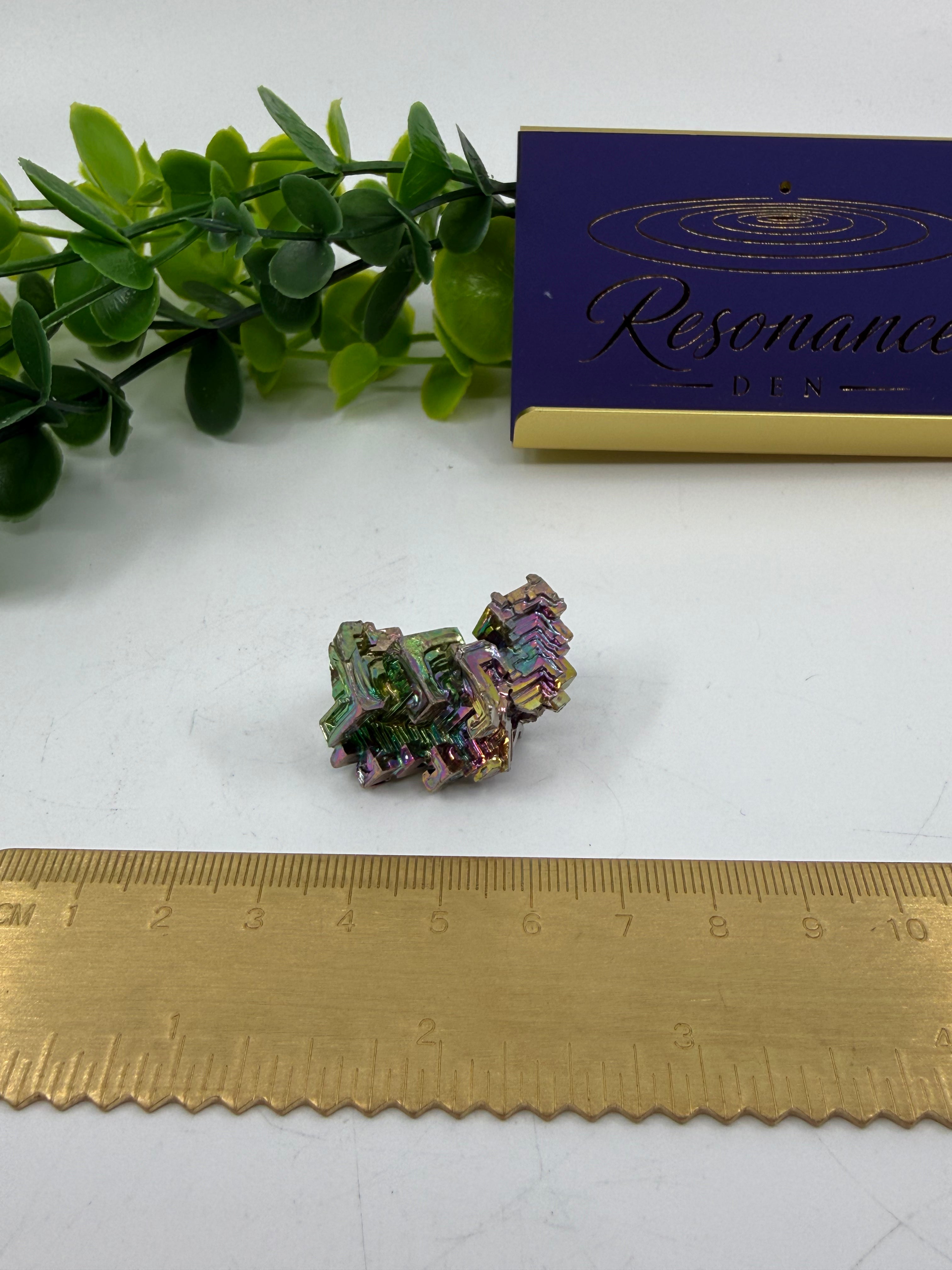 Bismuth Mini Cluster (Opt D)